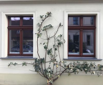 Bild von Fenster